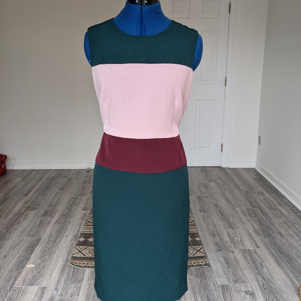 Color Blocked Ann Taylor Dress
